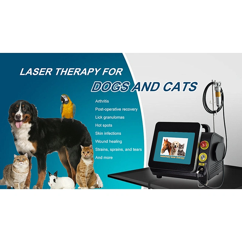 Newest Class IV Laser Therapy Diode 980nm Veterinary High Power Treat Animals and Pets Without Side Effects