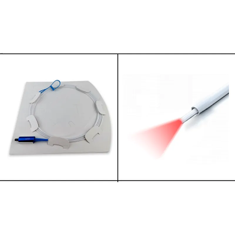 Powerful 980nm Diode Laser Fiber Machine for Liposuction & Fat Burning 1470nm Laser for Body & Face Lifting CN Plug