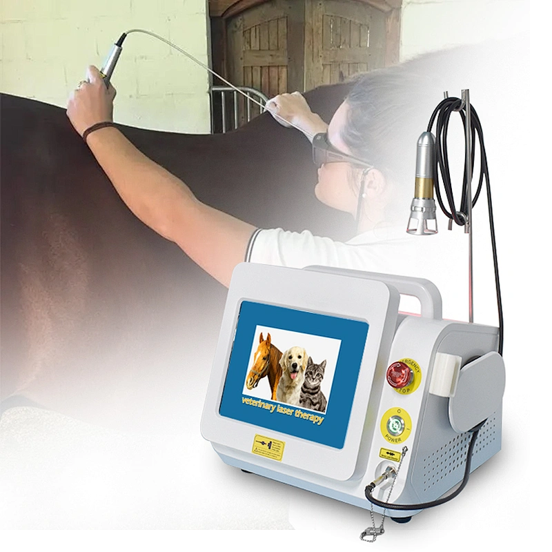810& 980nm Veterinary Surgical & Therapy Laser Instrument Device