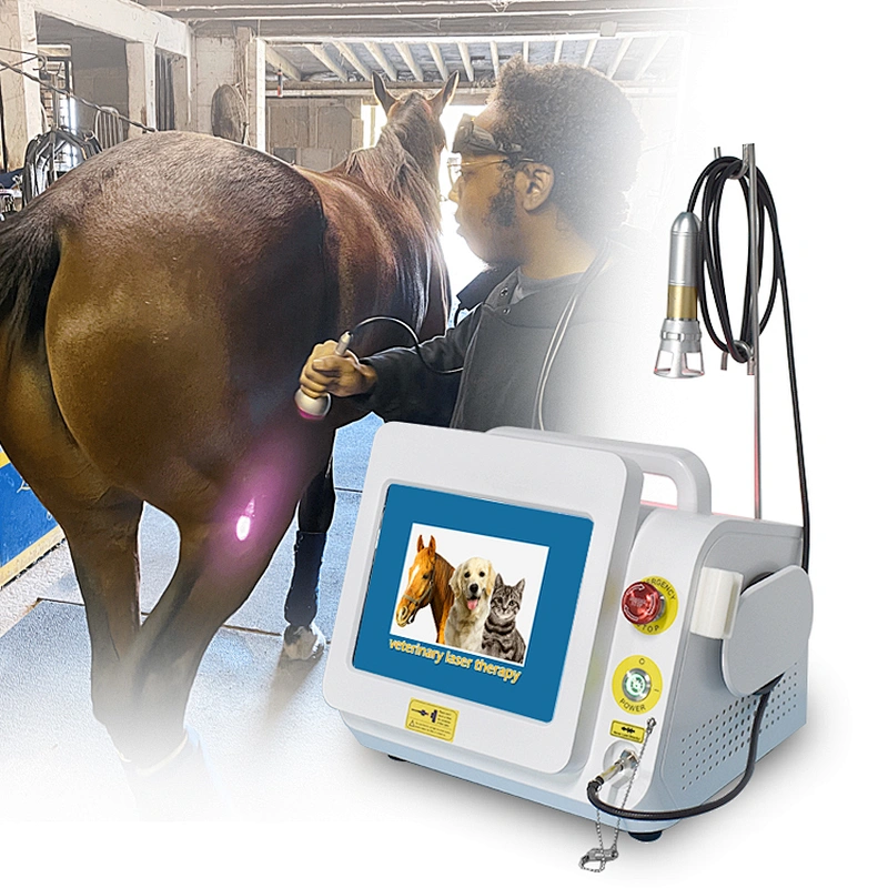 Class 4 Laser Therapy Veterinary Laser Therapy for Animal Dogs Horse