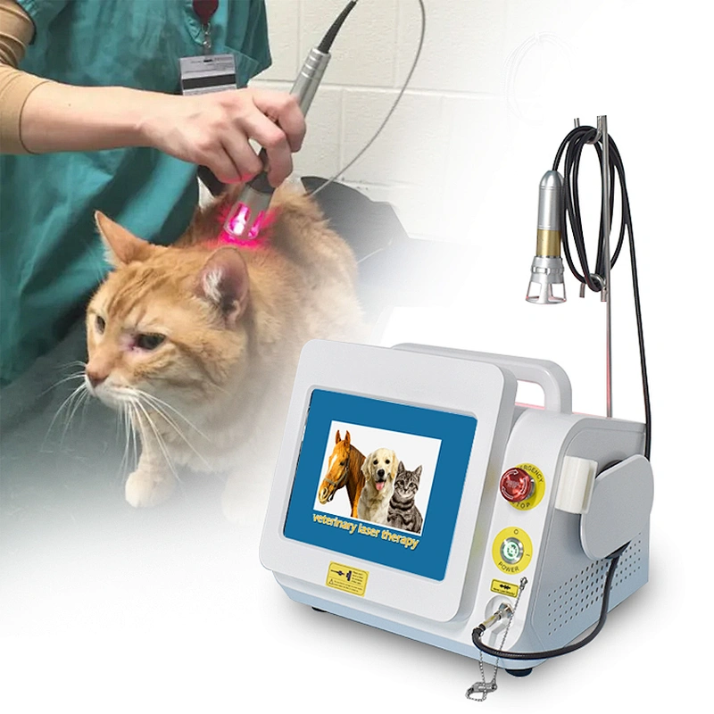 Class IV 980nm Laser Therapy Pet Clinic Animal Veterinary Physical Therapy Laser Equipment