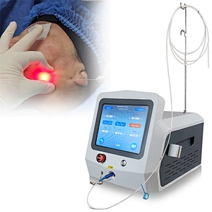 Portable Diode Laser 980nm1470nm  Lipolysis Slimming Fat Removal Vaser Liposuction Machine Endolaser Facial Lifting