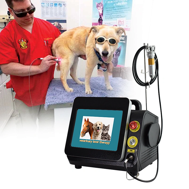 Laser Class 4 Laser Diode 980nm Relief Pain 980nm Diode Laser Physiotherapy Machine
