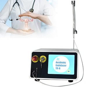 Minimally Medical 980nm 1470nm Diode Laser Gynecology Therapy Instruments for Vaginal Rejuvenation