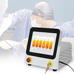 2025  Hot Sale 980nm 60w Diode Laser  Removal Hemorrhoids Laser Hemorrhoid Treatment Surgery Machine
