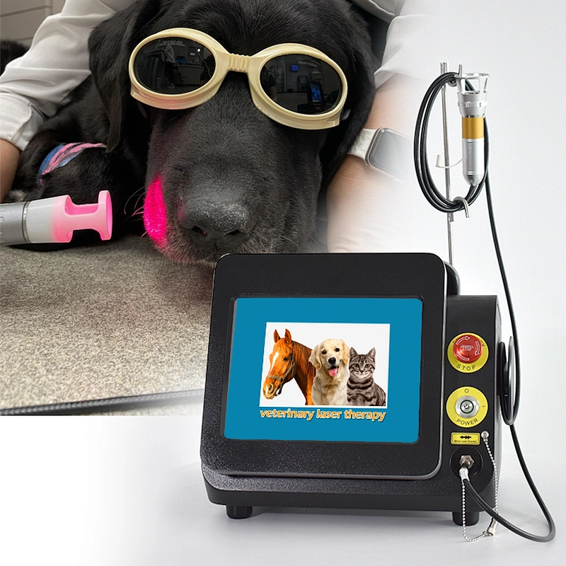 Veterinary Laser Therapy High Power Class 4 Pet Pain Relief Machine