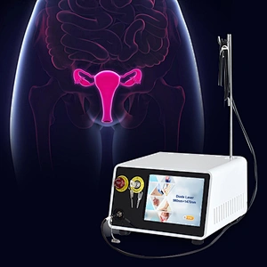 Non Surgical Portable Vaginal Rejuvenation Diode 980 Nm 1470 Nm Cosmetic Gynecology Laser Device Vaginal Tightening  Laser