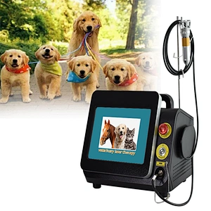 Chiropractic Physiotherapy Class IV Laser Therapy for Pain Relief 980nm Diode Laser 980nm Laser for Therapy Business