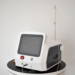 Plastic Surgery Use Proctology Laser Haemorrhoids Anal Fistula Pilonidal Sinuses 980nm 1470nm Laser