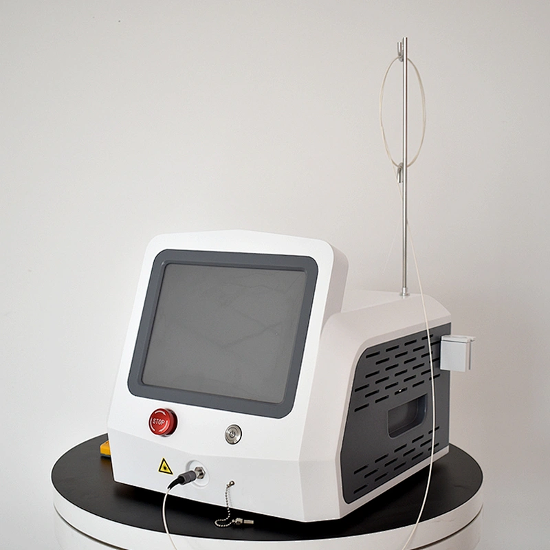 Plastic Surgery Use Proctology Laser Haemorrhoids Anal Fistula Pilonidal Sinuses 980nm 1470nm Laser