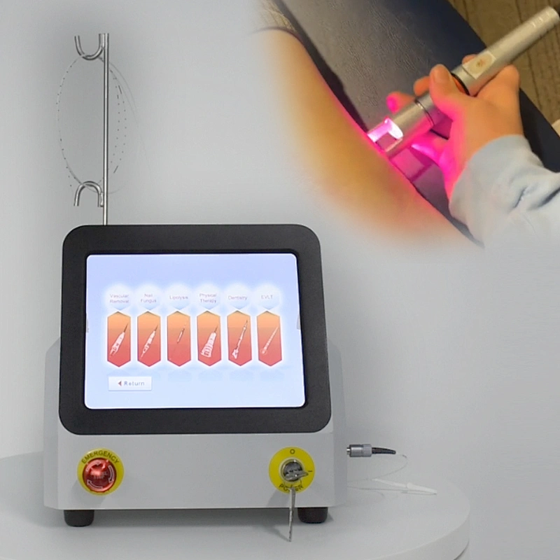 TRIANGEL High Intensive Laser Physiotherapy Class 4 Diode Laser 980nm 810nm 60W High Power Physical Therapy Equipment