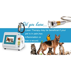 Class IV 980nm Laser Therapy Pet Clinic Animal Veterinary Physical Therapy Laser Equipment
