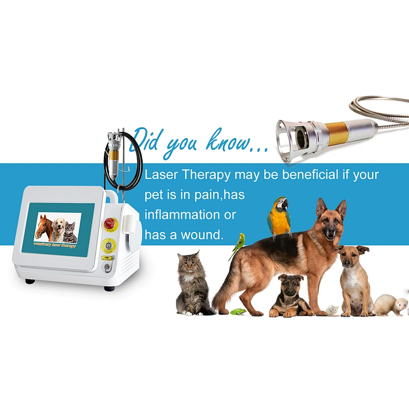 Class IV 980nm Laser Therapy Pet Clinic Animal Veterinary Physical Therapy Laser Equipment