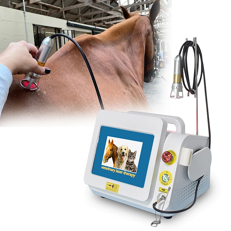 Veterinary Physical Therapy Device Cold Laser for Animal Wounding Healing Joint Injury Pain Relief 980nm