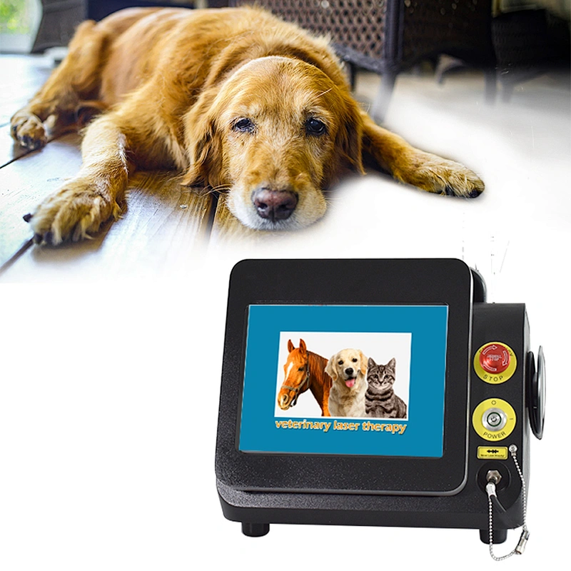 TRIANGEL 980 Animal Laser Therapy 810nm 980nm 1064nm Class 4 Best Veterinary Pet Equine Laser Horse Therapy Equipment