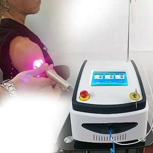 Class IV Physiotherapy Equipment High Power 60W Diode Laser 980nm Therapy Physiotherapy Machine for Pain Relief