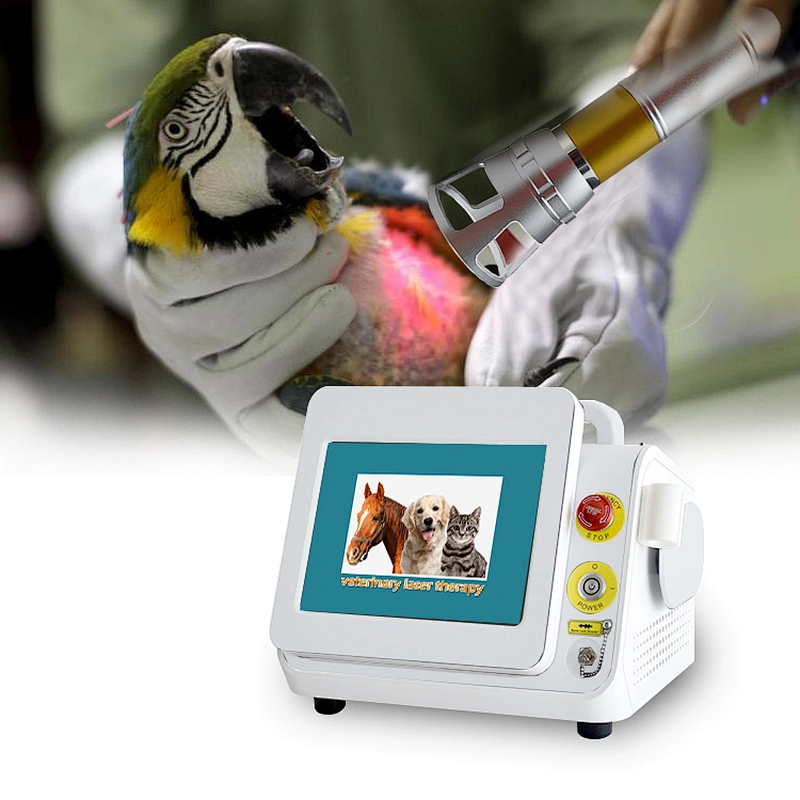 Class Iv Laser Therapy Physical Dog Horse Animals Pain Relief Medical Device
