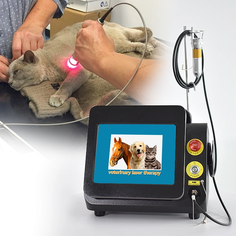 Horse Veterinary Equipment Class 4 Pet Pain Relief Machine