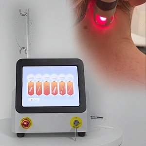 Class IV 60w Fisioterapia Therapy Pain Relief Machine High Power Diode Laser 980nm Physiotherapy Back Pain Device