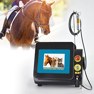 Veterinary Laser Therapy 980nm With Cutting Equipment