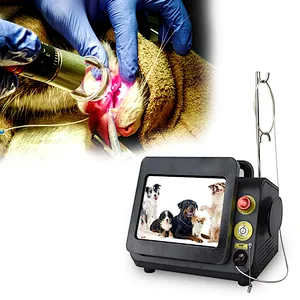 Veterinary Class 4 Laser Therapy Veterinary Animal Pet Use Horse Dog Cat Etc Joint Pain Relief Laser Equipment
