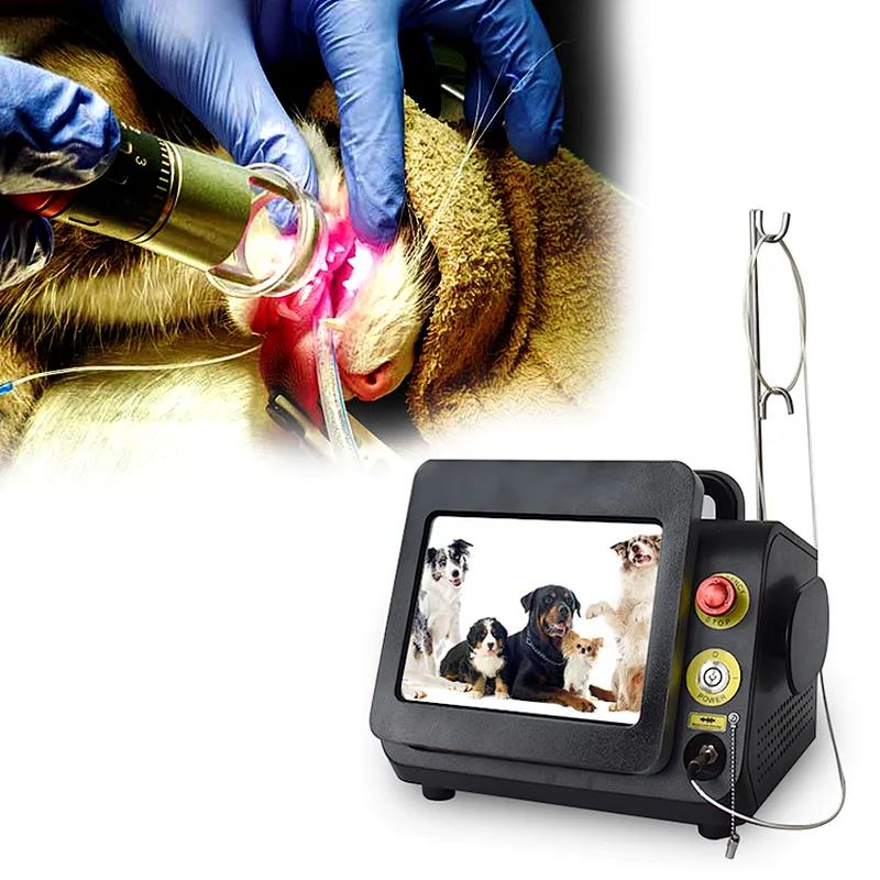 Veterinary Class 4 Laser Therapy Veterinary Animal Pet Use Horse Dog Cat Etc Joint Pain Relief Laser Equipment
