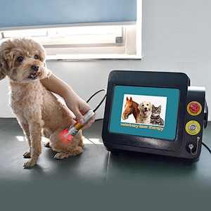 Portable Surgical Laser Veterinary Semiconductor Laser Therapy Instrument for Animals