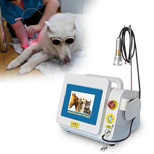 Professional Medical Diode Laser Instrument 980nm Infrared Veterinary Laser Therapy for Pet Animals' Surgical Pain Treatment