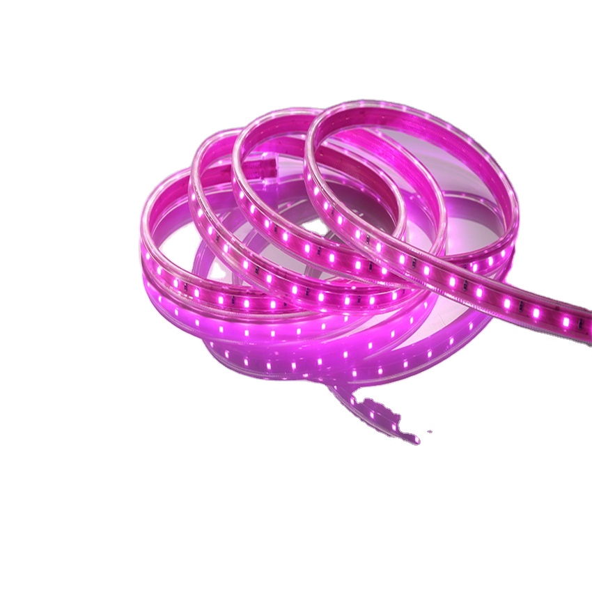 12 v 60leds Waterproof Flexible SMD 2835 rgb pixel tape led strip light with sensor