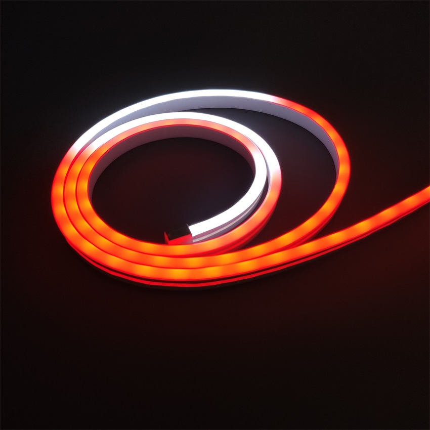 2021 Wholesale IP65     RGB 60led/m RF control led neon  light