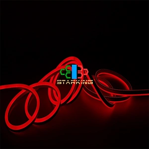 China high quality SMD 5050 Multicolor 10*20mm led neon light