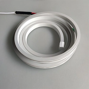 2021 Wholesale IP65     RGB 60led/m RF control led neon  light