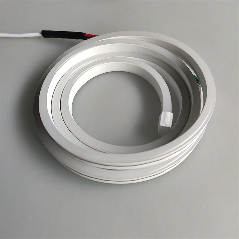 2021 Wholesale IP65     RGB 60led/m RF control led neon  light