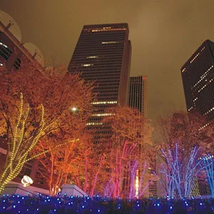 high quality LED Garland String Lights Outdoor Fairy Light Waterproof Wedding Party Christmas Tree Led Lights Decoration