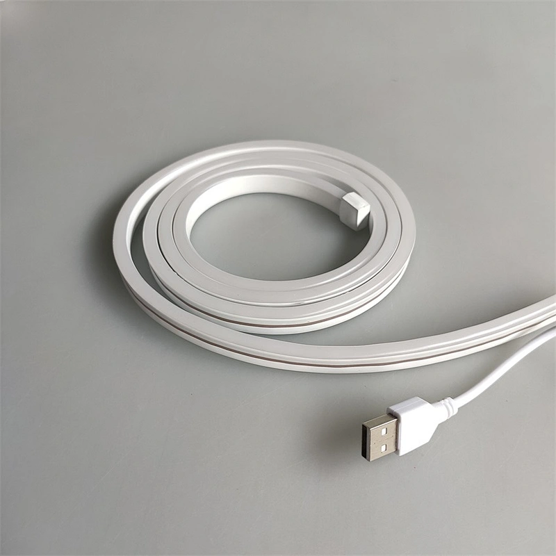 2021 new product IP65  led Neon light