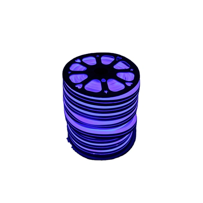 24V/100V/220V IP65  Waterproof Flexible Portable Led Tube Custom Neon Light