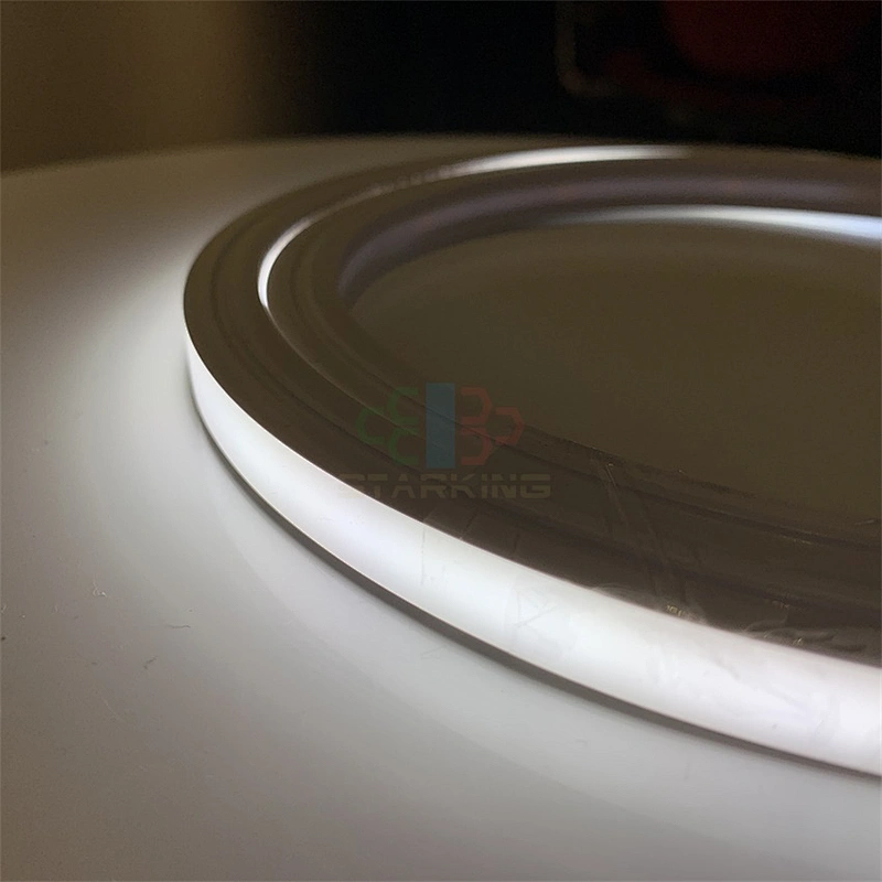 decorative 24V  IP65 waterproof color changing flex decorations tube rope neon strip custom led neon light