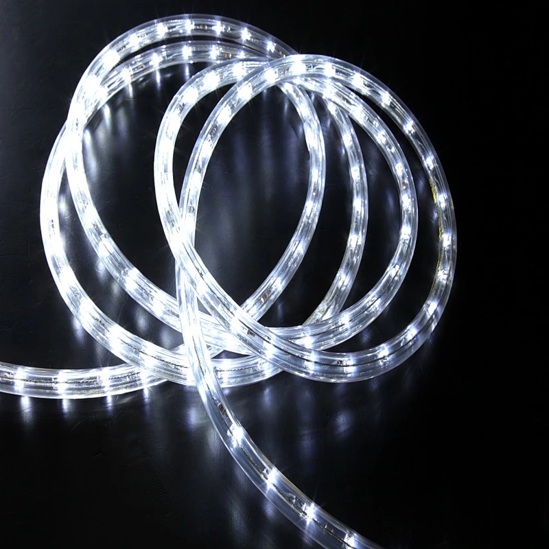 Wholesale outdoor Christmas 110V/220V waterproof led rope lights outdoor Christmas  led rope light