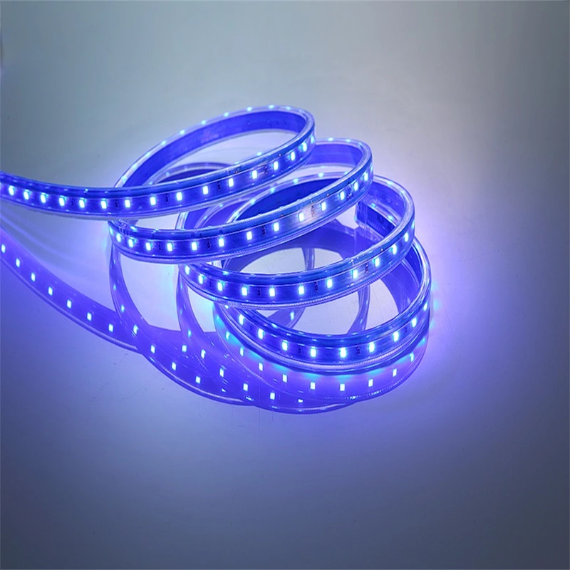 12 v 60leds Waterproof Flexible SMD 2835 rgb pixel tape led strip light with sensor
