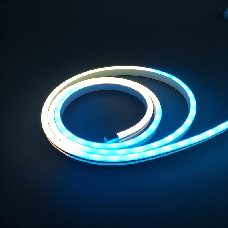 2021 new product IP65  led Neon light
