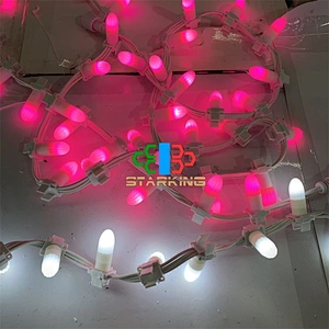 New style Ip65 Led Christmas outdoor led Garland led String Light