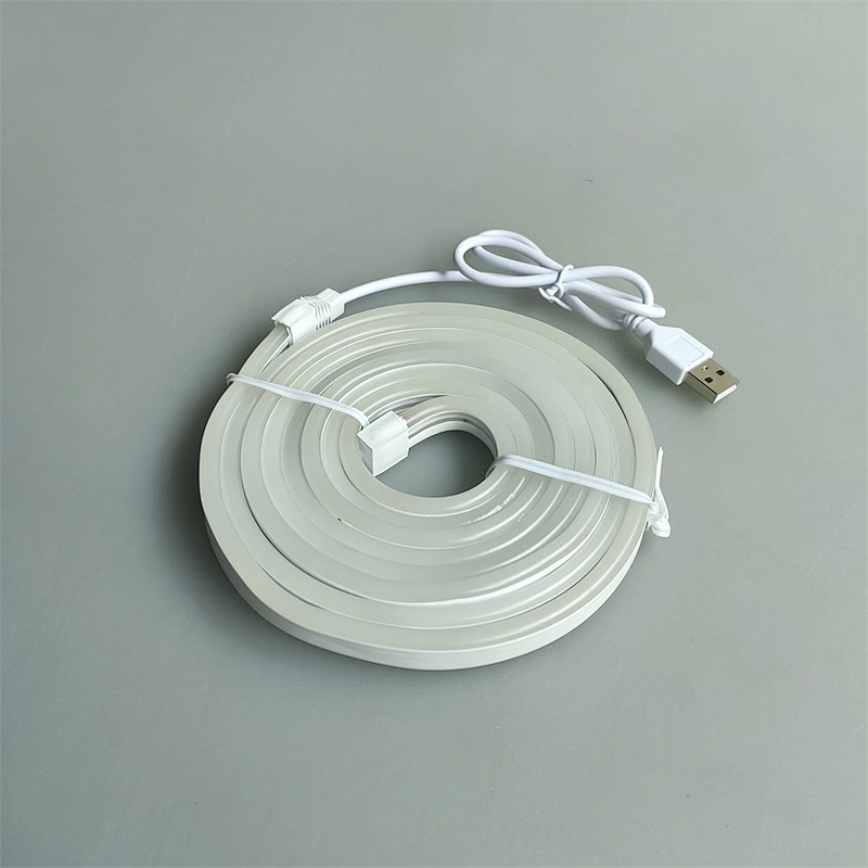 5V USB flexible outdoor SMD 2835 120led/m led strip light neon light