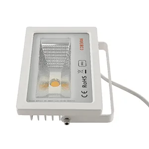 LED Flood Light for wholesale