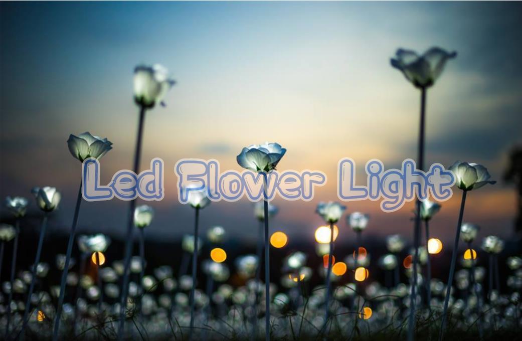 LedelCerLigtr