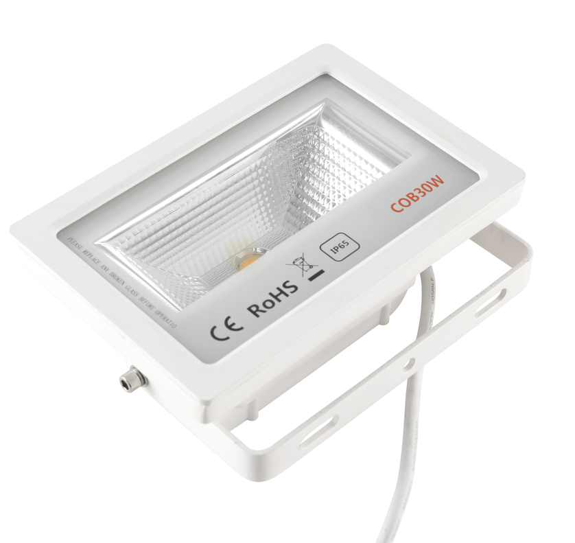 LED Flood Light for wholesale