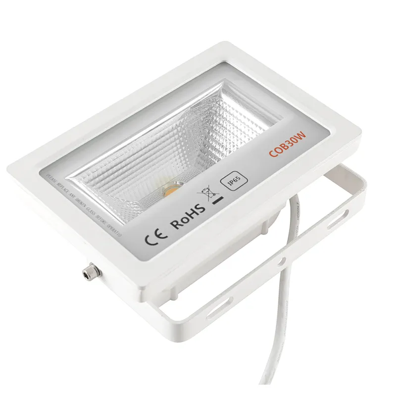 LED Flood Light for wholesale
