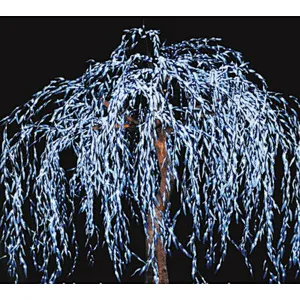 Beautiful LED artificial tree light holiday time christmas willow tree light