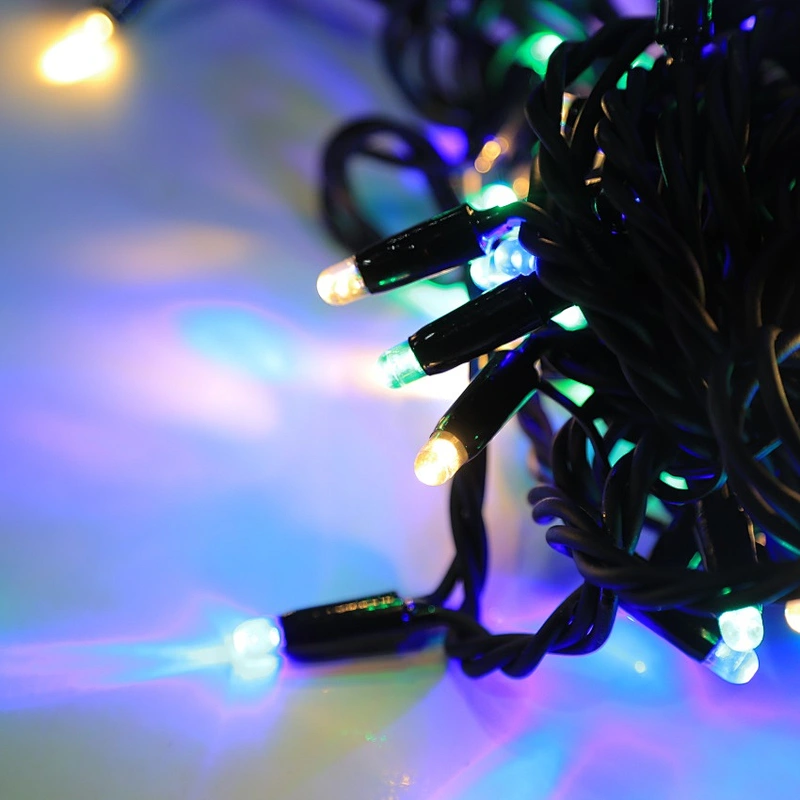 24v golden rubber wire Led String Lights  Christmas Decoration led lights for European market