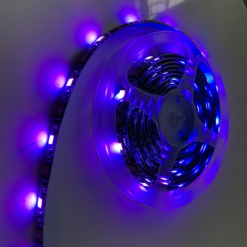 2020 new  outdoor UV proof  holiday rope light