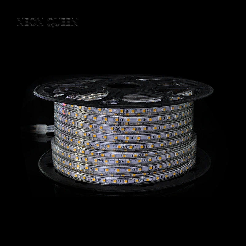 RGB Emitting Color and Flex LED Strips Type waterproof dc12v led strip